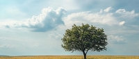 &nbsp;&nbsp;&nbsp;LA SOLEDAD CANSADA  &hellip;.Para pensar&hellip;.